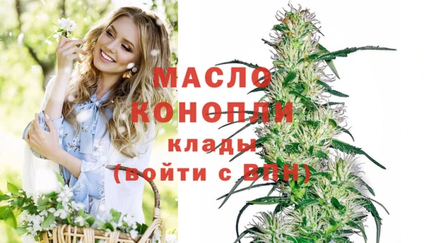 PSILOCYBIN Алзамай