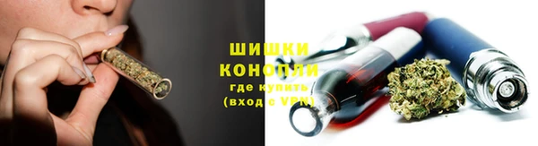 PSILOCYBIN Алзамай