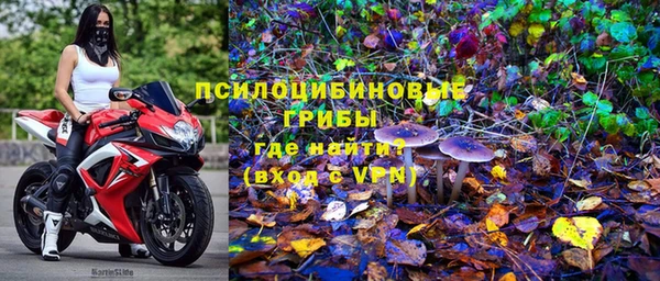 первитин Алексеевка
