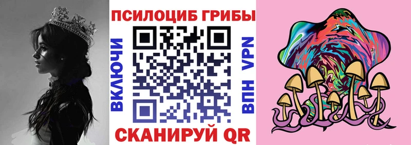 Галлюциногенные грибы мицелий  Купить  Заволжье 