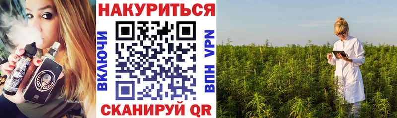Купить закладки Заволжье Шишки марихуана индика